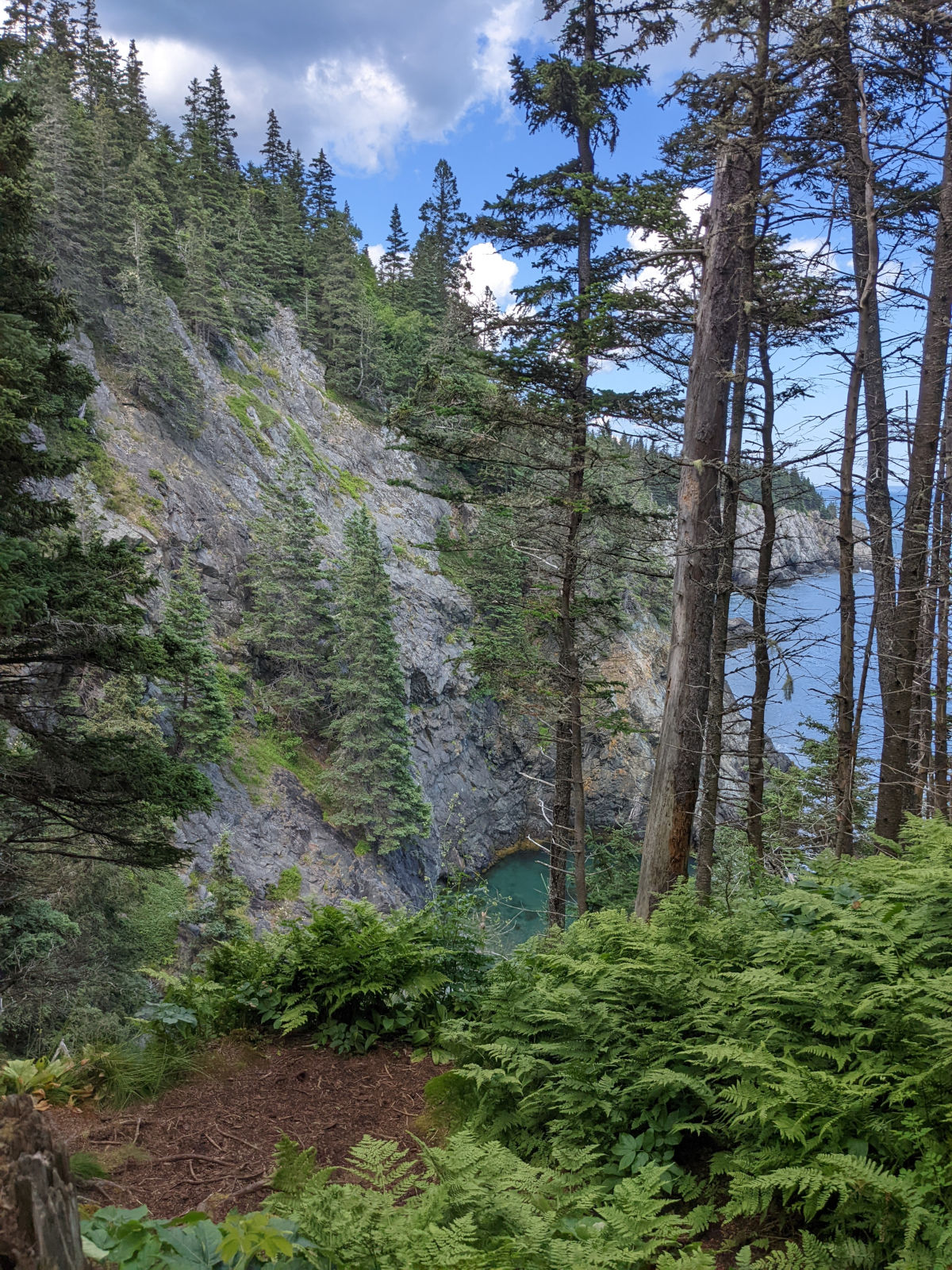 Better view of those cliffs with trees growing up them