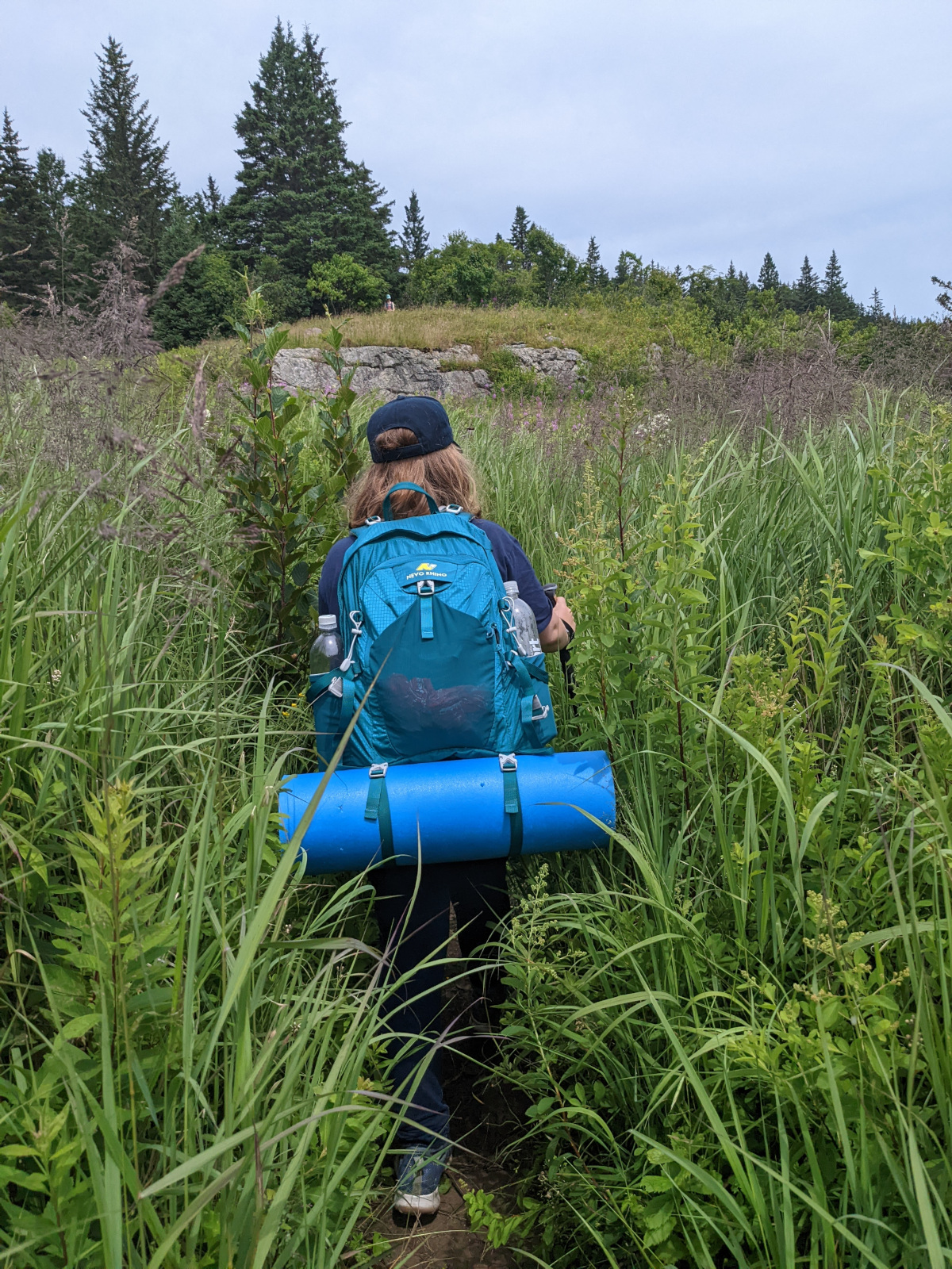 Fiona pushing through tall grass