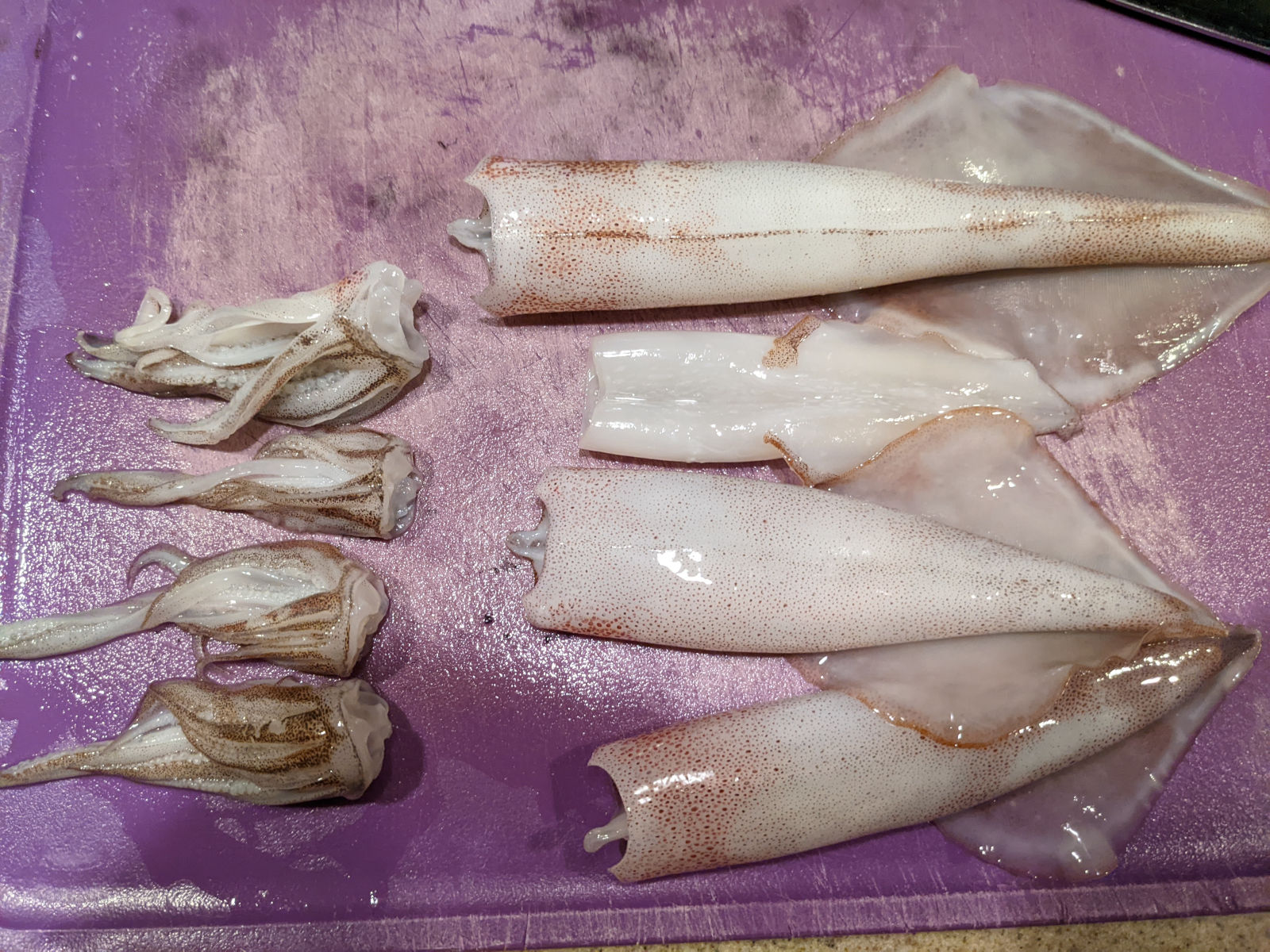 Four cleaned squid on the cutting board