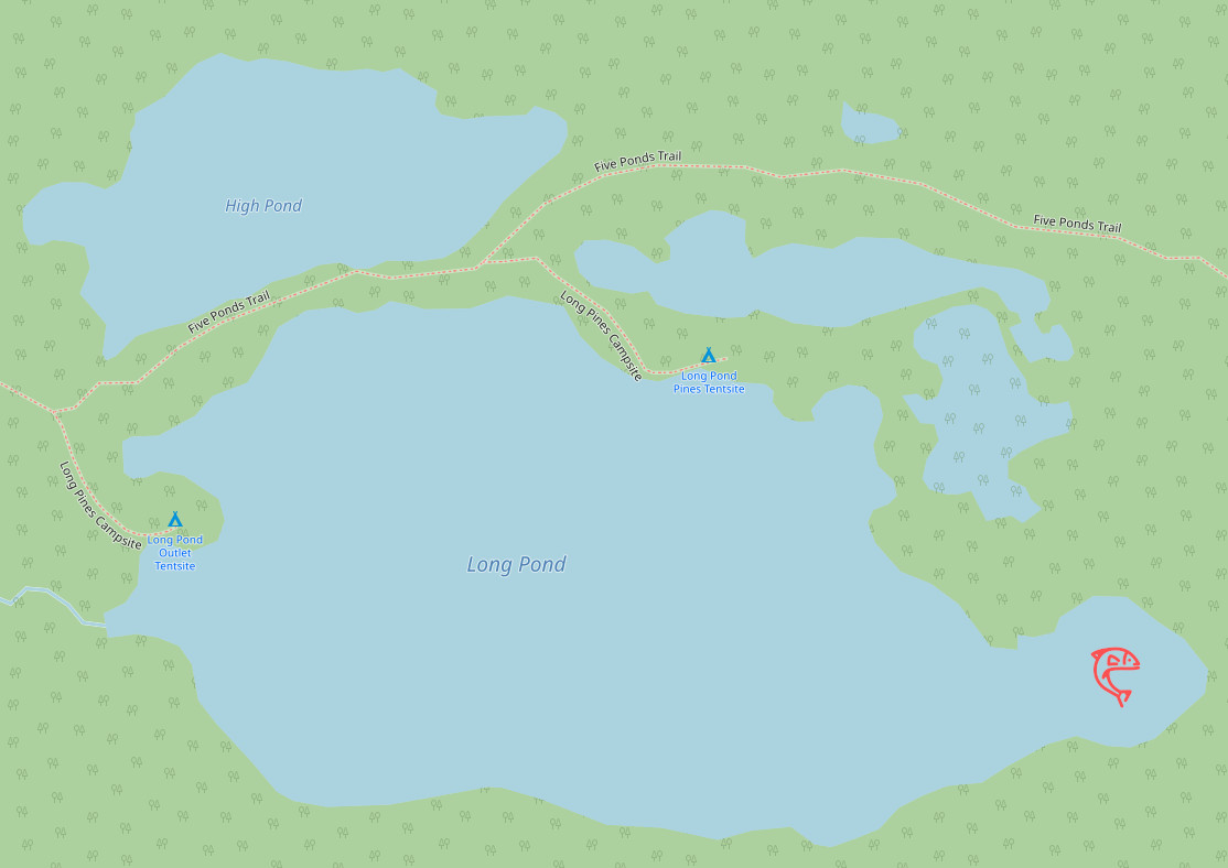 Map of long pond indicating fish location in far eastern cove