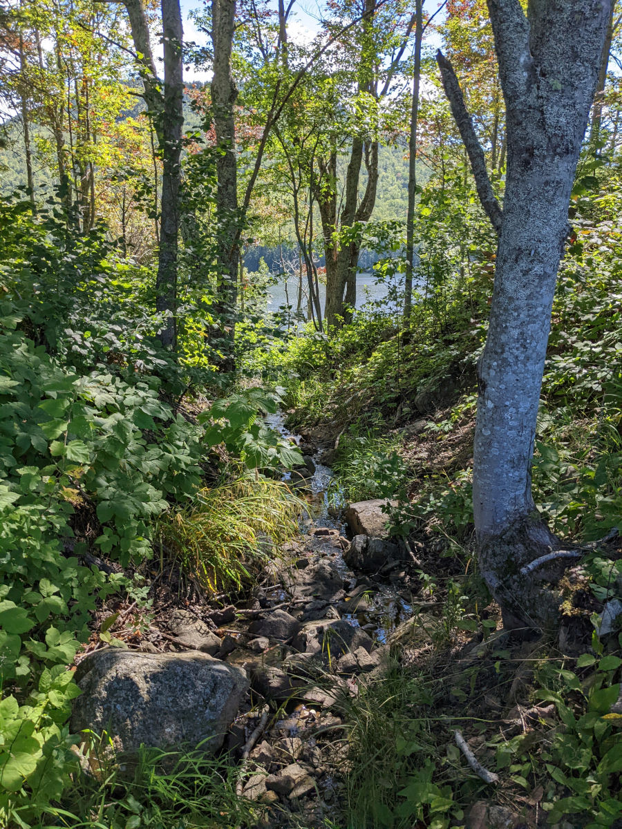 View of outlet from High Pond down to Long Pong