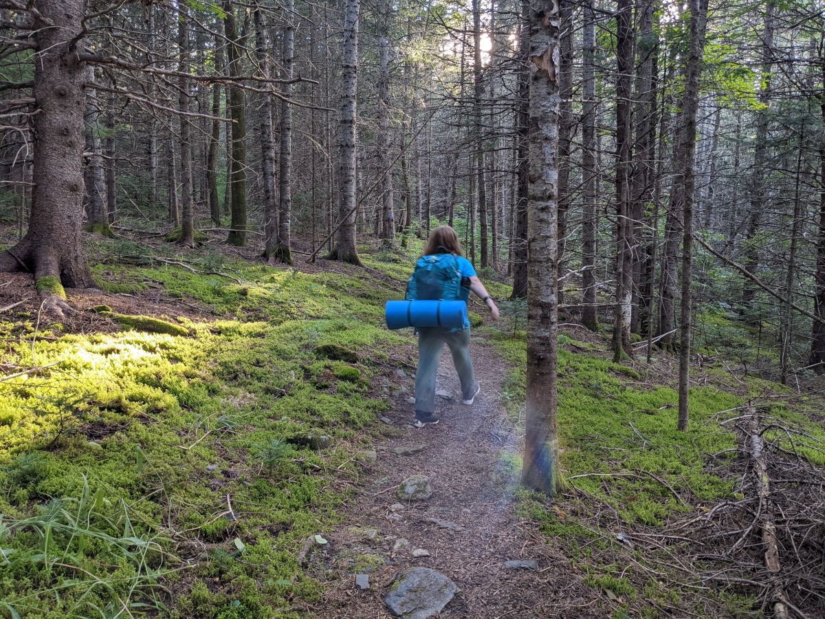 Fiona hiking through beautifully lit woods