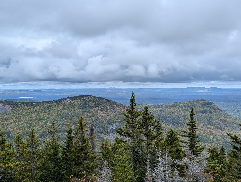 Mountain and trees