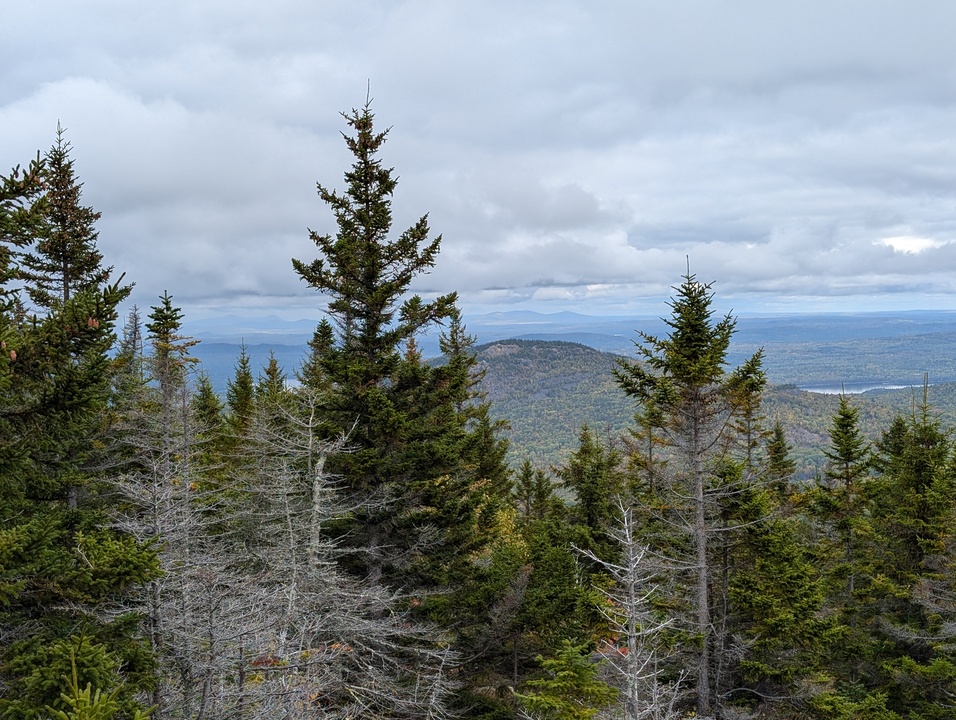 Mountains very far away behind close trees