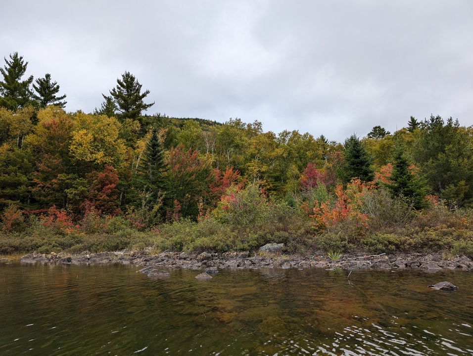 Fall colors on the shore of the lake 1