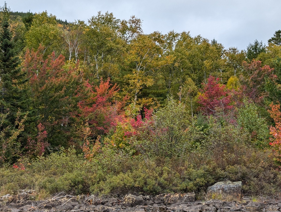 Fall colors on the shore of the lake 2