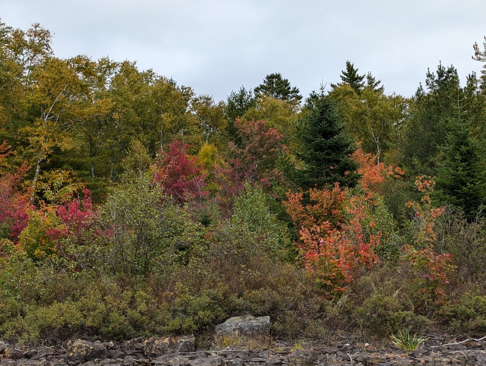 Fall colors on the shore of the lake 3