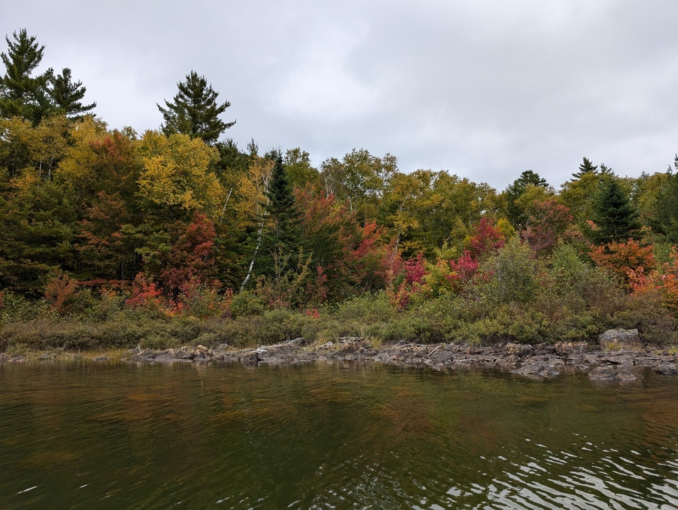 Fall colors on the shore of the lake 4