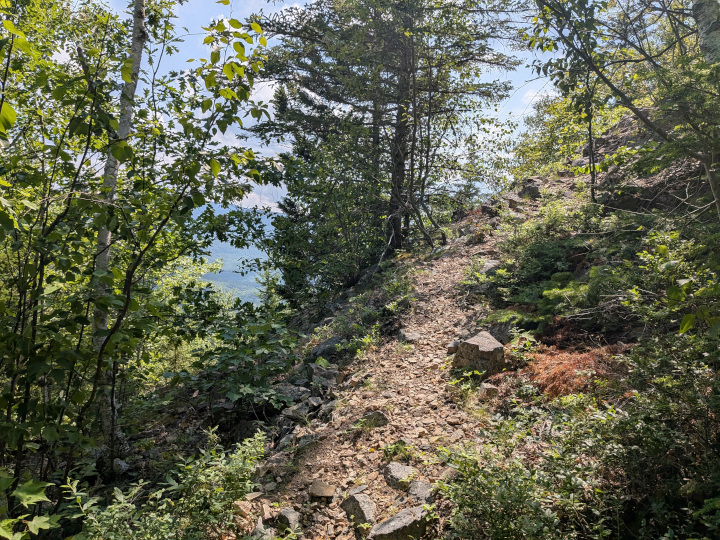 Trail up Trout Brook Mountain where it drops off steeply to the left of the trail